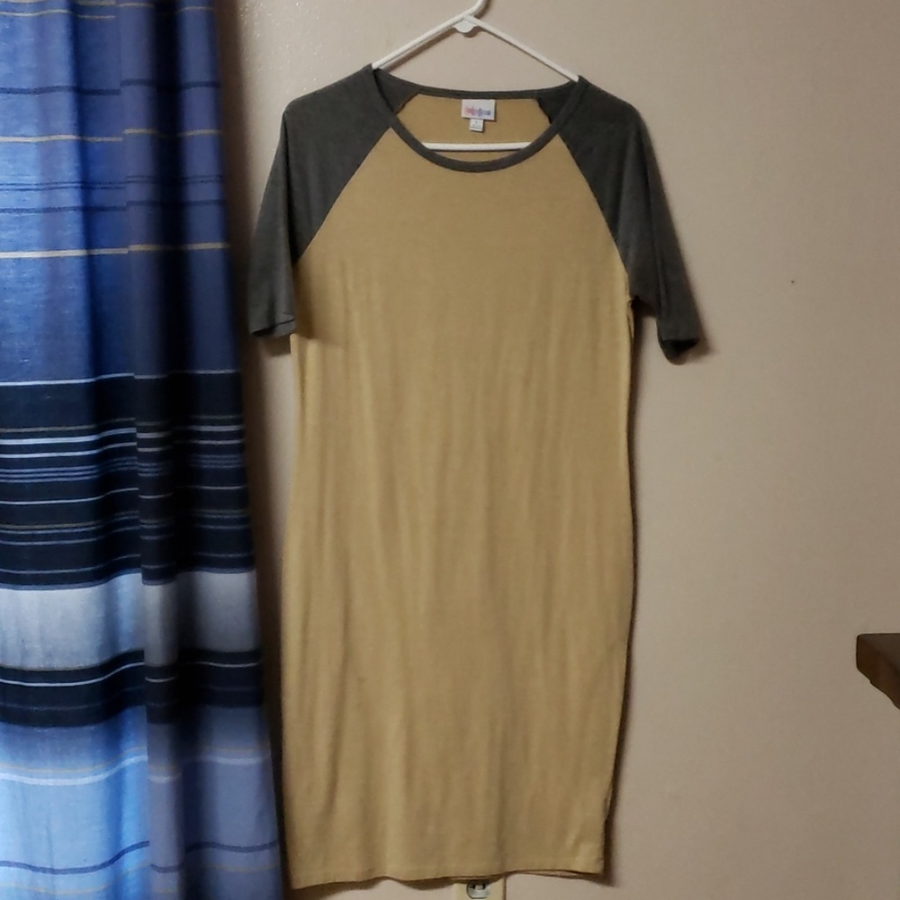 LuLaRoe t shirt dress